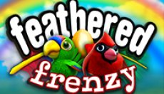 Feathered Frenzy (Пернатое безумие)